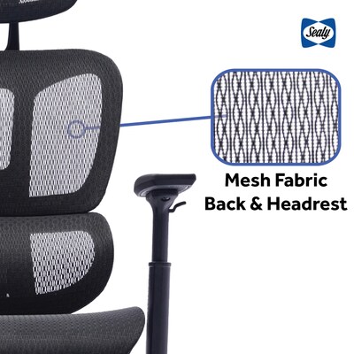 Sealy Posturepedic Astra Mesh Reclining Executive Office Chair, Black (63080)