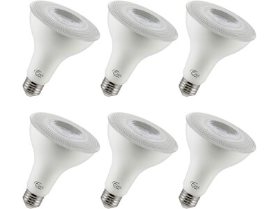 Viribright 10-Watts Cool White LED Floodlight Bulb, 6/Box (450154-ES)
