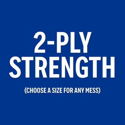 Perk™ Choose-A-Size Paper Towels, 2-ply, 116 Sheets/Roll, 8 Rolls/Pack (PK55113)