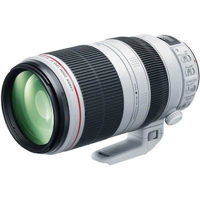 Canon EF 100-400mm f/4.5-5.6L IS II USM Lens (9524B002)