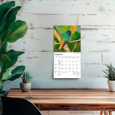2027 BrownTrout Hummingbirds 7" x 7" Monthly Wall Calendar (9798330709830)