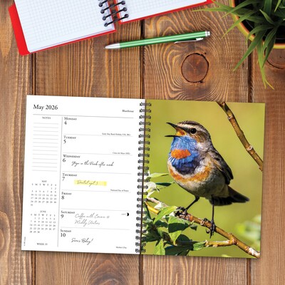 2026 Willow Creek Backyard Birds 6.5" x 8.5" Daily & Monthly Personal Organizer (54574)
