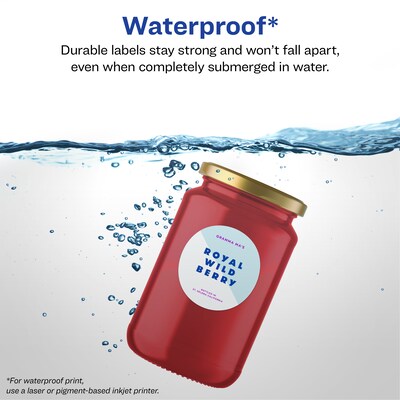 Avery Laser/Inkjet Round Waterproof Multipurpose Labels, 2.5 Dia., White, 450 Labels/Box (94502)