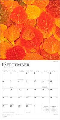 2026 BrownTrout Psalms 12" x 12" Monthly Wall Calendar (9798330705207)