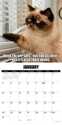 2027 Willow Creek Cat-astrophe 12" x 12" Monthly Wall Calendar, Assorted Colors (59555)