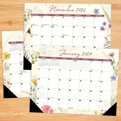 2026-2027 Willow Creek 22 x 17 Academic Monthly Desk Pad Calendar, Botanical Garden (66003)