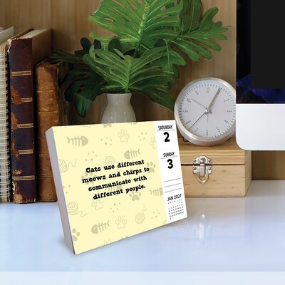 2027 Willow Creek All About Cats 6.2" x 5.4" Daily Day-to-Day Calendar, Assorted Colors (64948)