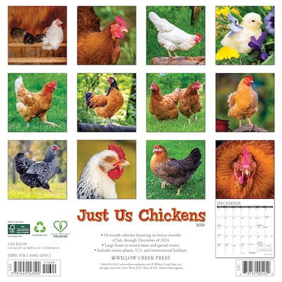 2025 Willow Creek Just Us Chickens 12 x 12 Monthly Wall Calendar (43592)