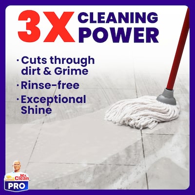 Mr. Clean Professional All Purpose Floor Cleaner, Lemon Scent, 1 Gallon, 3/Carton (PGC02621)