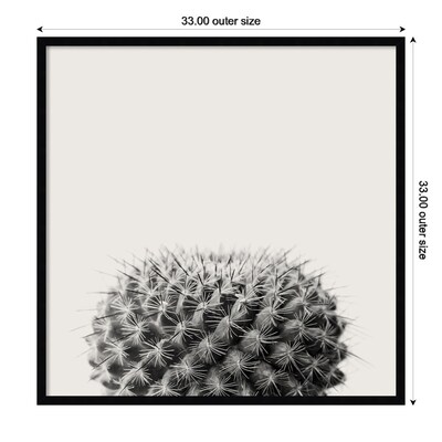 Amanti Art Haze Cactus Succulent by The Creative Bunch Studio Wood Framed Wall Art Print, 33" x 33" (A42675345780)
