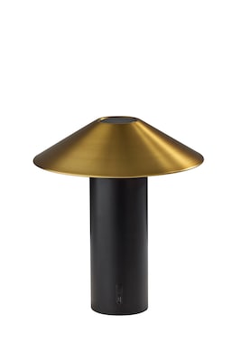 Adesso ADS360 Pina 10.5H LED Table Lamp, Black/Antique Brass (AD9205-01)