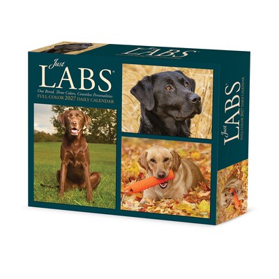 2027 Willow Creek Just Labs 5.4 x 6.2 Day-to-Day Calendar (63569)