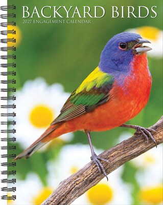 2027 Willow Creek Backyard Birds 6.5 x 8.5 Weekly & Monthly Desk Calendar (64337)