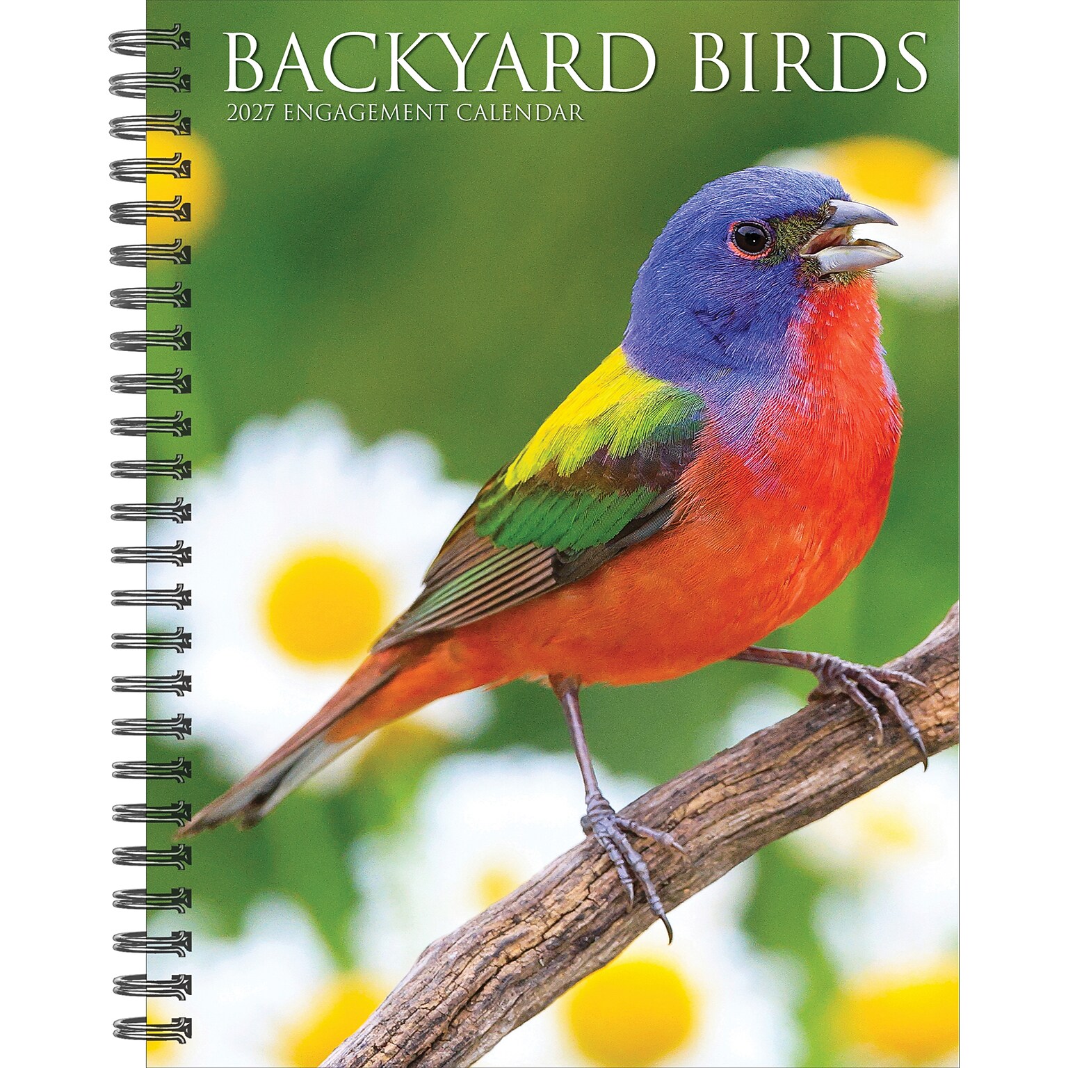 2027 Willow Creek Backyard Birds 6.5 x 8.5 Weekly & Monthly Desk Calendar (64337)