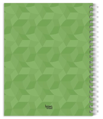 2026 BrownTrout Kittens 6.5 x 7.75 Weekly Planner (9798330704125)