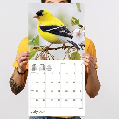 2027 TF Publishing Backyard Birds 12" x 11" Monthly Wall Calendar, Multicolored (27-1033)