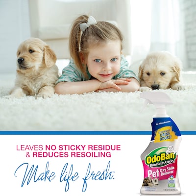 OdoBan Pet Solutions Laundry Stain Remover, 32 oz. (961561-Q6)