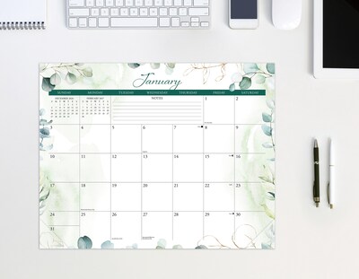 2027 Willow Creek Eucalyptus 14.25" x 11.25" Monthly Wall Calendar, Assorted Colors (64825)