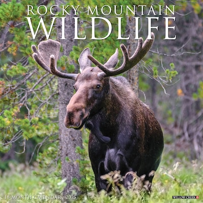 2025 Willow Creek Rocky Mountain Wildlife 12 x 12 Monthly Wall Calendar (44667)