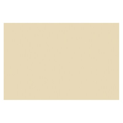 Tru-Ray 12" x 18" Construction Paper, Ivory, 50 Sheets/Pack, 5 Packs/Bundle (PAC103065-5)