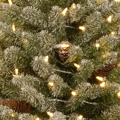 National Tree Company 3' Snowy Concolor Fir Tree with LED Lights (SR1-328-30-B1)