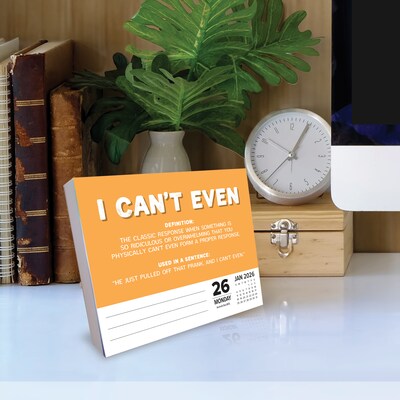 2026 Willow Creek Gen Z Slang 6.2" x 5.4" Day-to-Day Calendar (57612)
