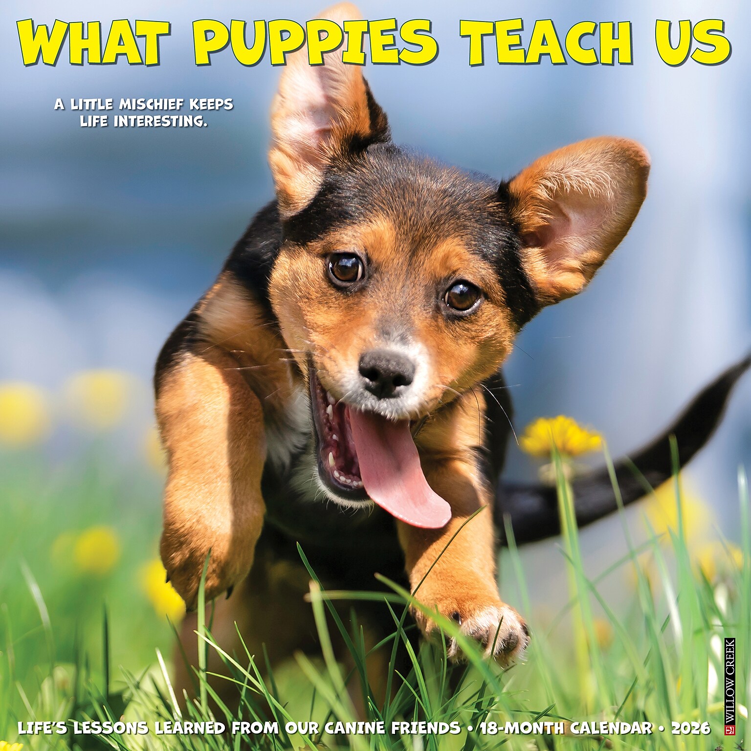 2026 Willow Creek What Puppies Teach Us 12 x 12 Monthly Wall Calendar (53225)