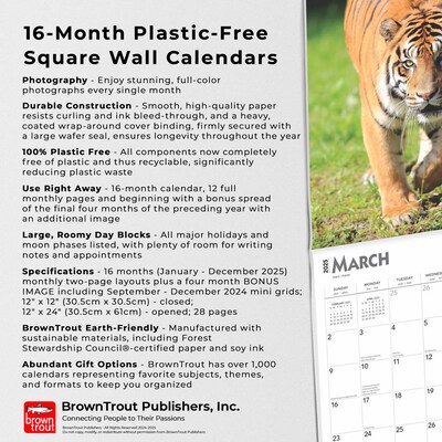 2025 BrownTrout Tigers 12" x 12" Monthly Square Wall Calendar (9781975475819)