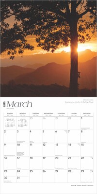 2025 BrownTrout North Carolina Wild & Scenic 12" x 12" Monthly Wall Calendar (9781975475444)