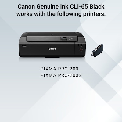 Canon 65 BK Black Standard Yield Ink Cartridge (4215C002)