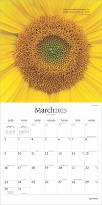 2025 Brush Dance Symmetry 12" x 12" Monthly Wall Calendar (9781975481445)