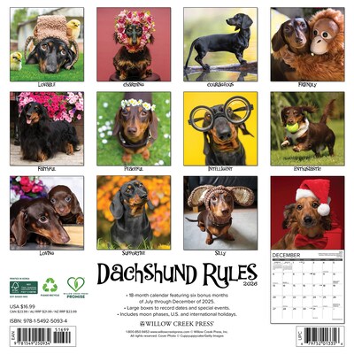 2026 Willow Creek Dachshund Rules 12 x 12 Monthly Wall Calendar (50934)