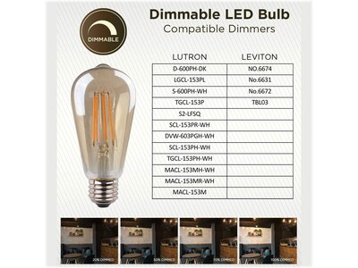 Viribright 5 Watts Warm White LED Decorative Bulb, 6/Box (ST19/641350/6)