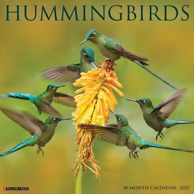 2027 Willow Creek Hummingbirds 12 x 12 Monthly Wall Calendar, Assorted Colors (60728)