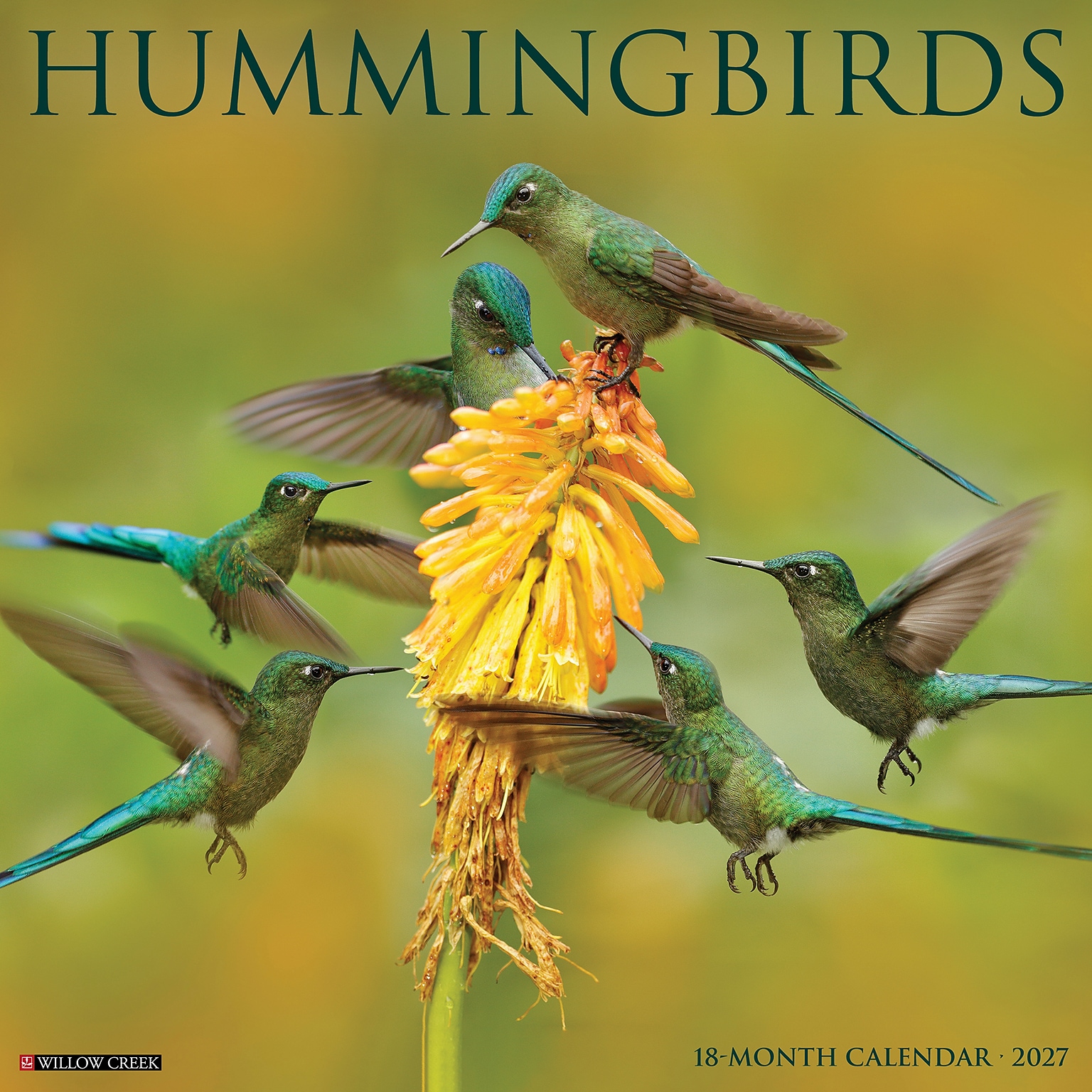 2027 Willow Creek Hummingbirds 12 x 12 Monthly Wall Calendar, Assorted Colors (60728)