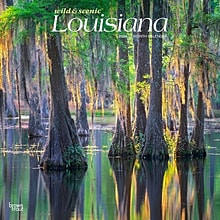 2024 BrownTrout Louisiana Wild & Scenic 12 x 24 Monthly Wall Calendar (9781975463748)