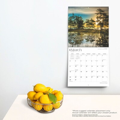 2025 BrownTrout Michigan Wild & Scenic 12" x 24" Monthly Square Wall Calendar (9781975475277)