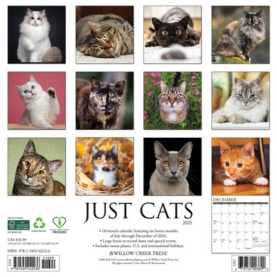 2025 Willow Creek Just Cats 12 x 12 Monthly Wall Calendar (42236)