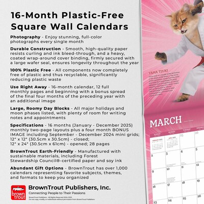 2025 BrownTrout Karate Cats 12" x 24" Monthly Square Wall Calendar, (9781975479831)