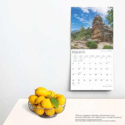 2025 BrownTrout South Dakota Wild & Scenic 12" x 12" Monthly  Wall Calendar (9781975475727)