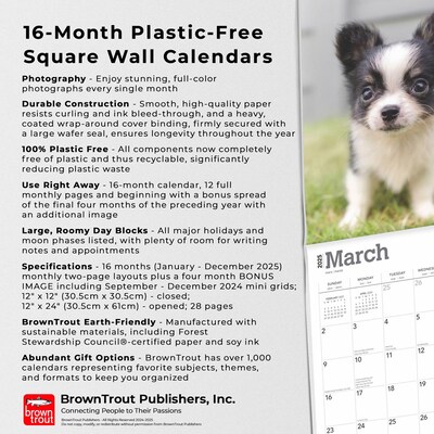 2025 BrownTrout Chihuahua Puppies 12" x 12" Monthly  Wall Calendar (9781975474652)