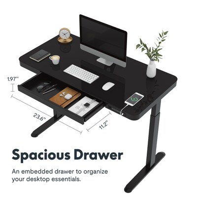 FlexiSpot EG9 48"W Electric Adjustable Glass Top Standing Desk, Black (EG9B-E)