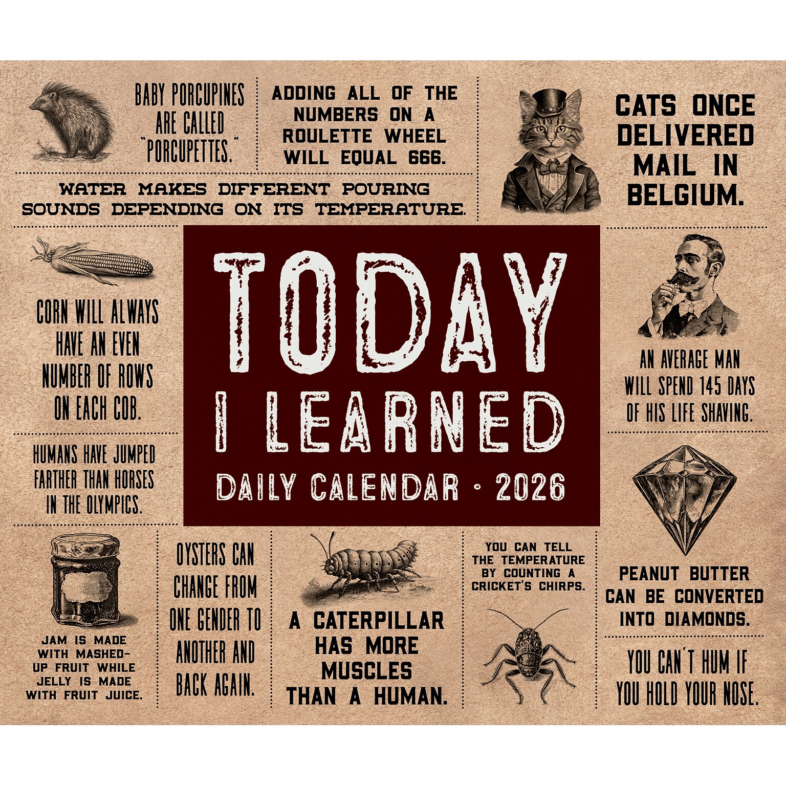2026 Willow Creek Today I Learned 6.2 x 5.4 Day-to-Day Calendar (54451)