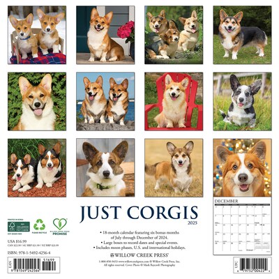 2025 Willow Creek Just Corgis 12" x 12" Monthly Wall Calendar (42564)