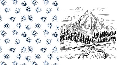 Quarto Beautiful Nature Coloring Book, 128 Pages (9780785843382)