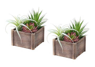 Monarch Specialties Inc. 10 Artificial Succulent in Pot, 2/Set (I 9371)