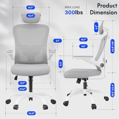 FlexiSpot Pro Comfort Swivel Computer and Desk Chair, Gray (OC1GY-SD-DP)