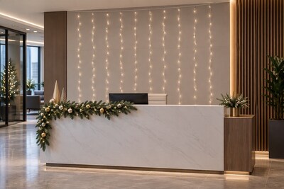 Excello Brands Curtain LED Lights, 10 Strings of 6.5' Lights, 200 Bulbs (EGP-CURT-10)