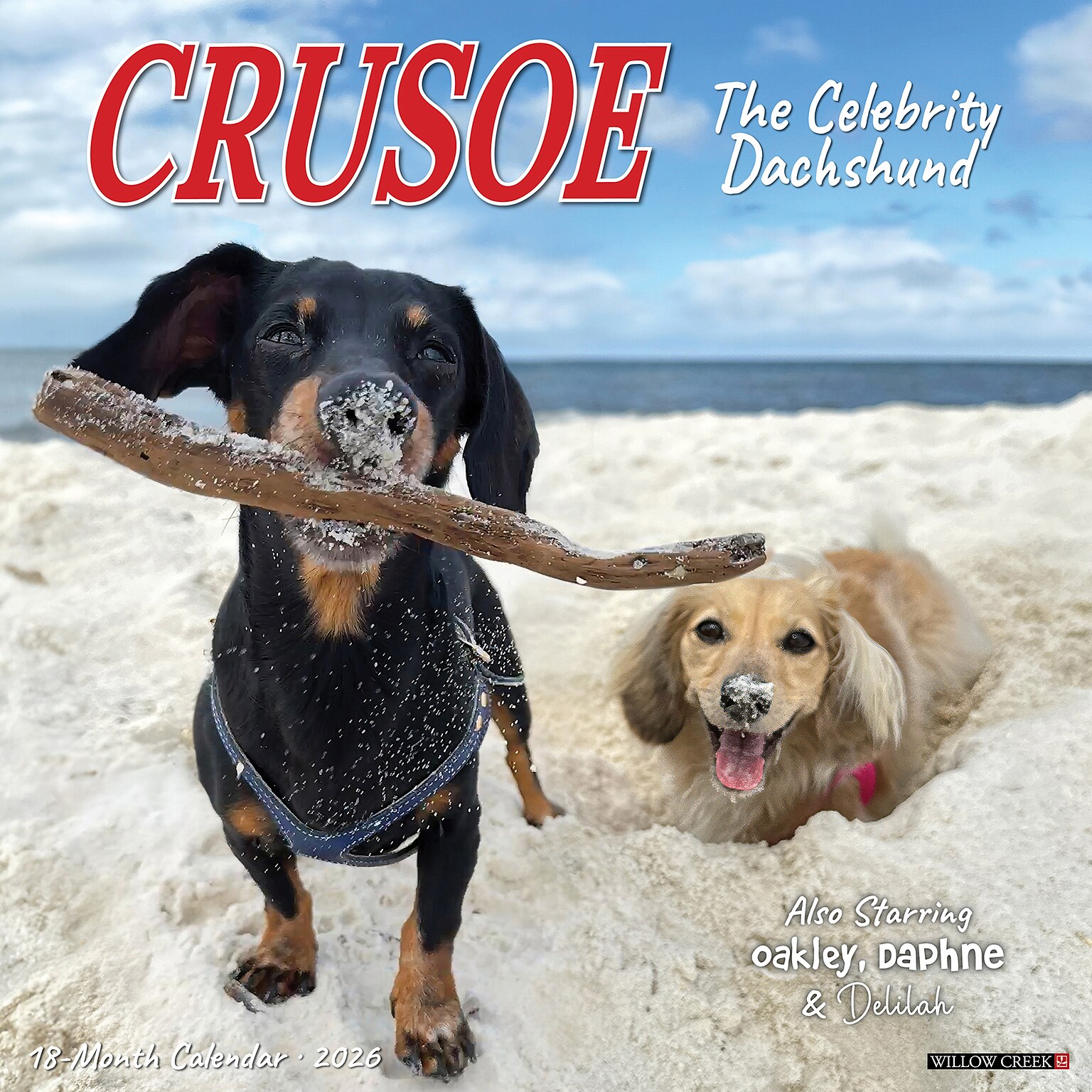 2026 Willow Creek Crusoe the Celebrity Dachshund 12 x 12 Monthly Wall Calendar (50910)