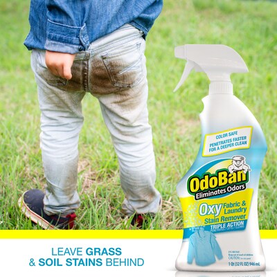 OdoBan Oxy Fabric and Laundry Stain Remover, 32 oz. (9615C01-Q)